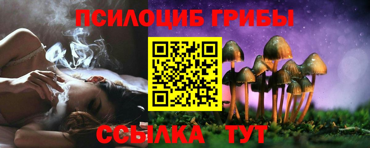 Тамбов  Галлюциногенные грибы Magic Shrooms  Вход с VPN 